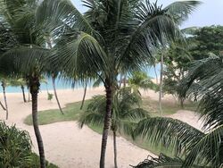 Seven Palms Sentosa Cove (D4), Condominium #565759511